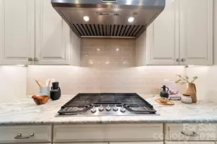 14817 High Bluff Ct, Charlotte, NC 28278 - Photo 15