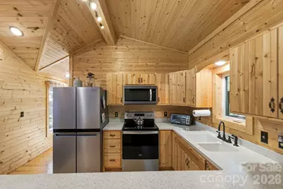 81 Delind Drive, Mill Spring, NC 28756 - Photo 11