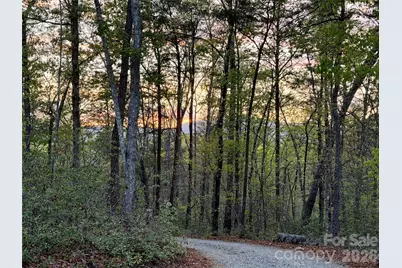 81 Delind Drive, Mill Spring, NC 28756 - Photo 3