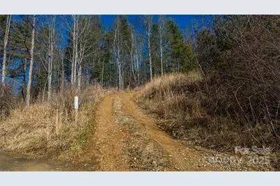 778 Smith Johnson Road, Green Mountain, NC 28740 - Photo 11