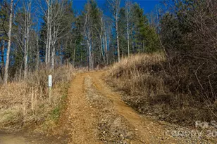 778 Smith Johnson Rd, Green Mountain, NC 28740 - Photo 11