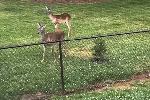 21 Par Dr, Granite Falls, NC 28630 - Photo 31