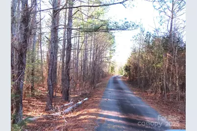 483 C E Stewart Road, Clover, SC 29710 - Photo 5