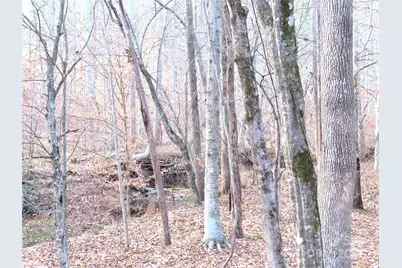 483 C E Stewart Road, Clover, SC 29710 - Photo 31