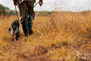 40 Country Bear Ln, Flat Rock, NC 28731 - Photo 47