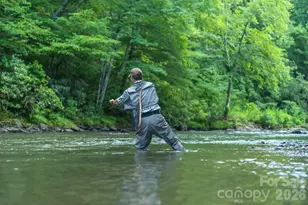 40 Country Bear Ln, Flat Rock, NC 28731 - Photo 45