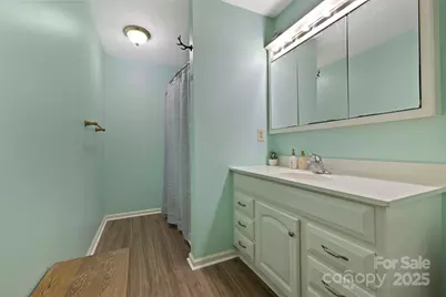 40 Country Bear Lane, Flat Rock, NC 28731 - Photo 33