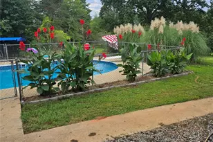 530 Toney Rd, Marion, NC 28752 - Photo 17