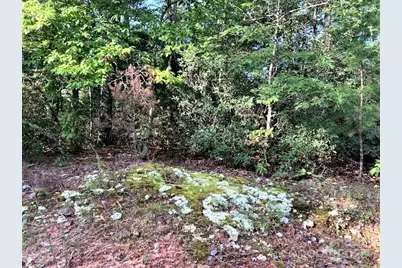 0 E Swans Way #262, Lake Lure, NC 28746 - Photo 5