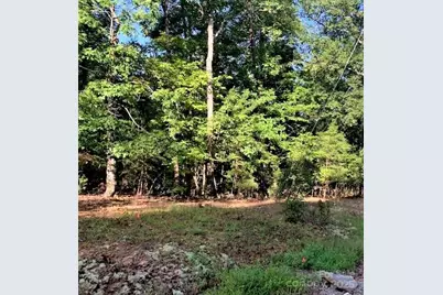 0 E Swans Way #262, Lake Lure, NC 28746 - Photo 7