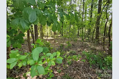 3486 Victorian Hills Drive, Richburg, SC 29729 - Photo 7