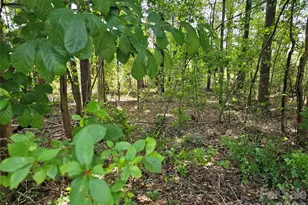 3486 Victorian Hills Dr, Richburg, SC 29729 - Photo 7