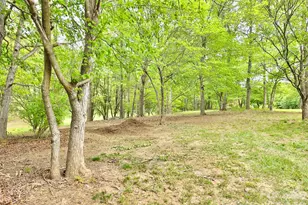 100 Steffey Ln, Taylorsville, NC 28681 - Photo 47
