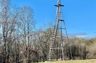 100 Steffey Ln, Taylorsville, NC 28681 - Photo 27