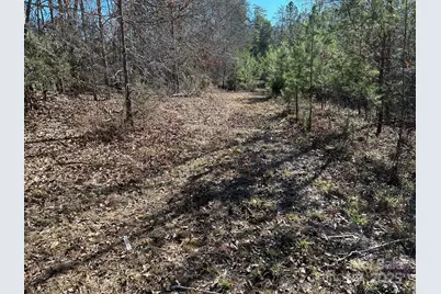 464 Hamrick Road, Mooresboro, NC 28114 - Photo 47