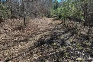 464 Hamrick Rd, Mooresboro, NC 28114 - Photo 47