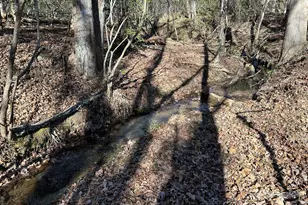 464 Hamrick Rd, Mooresboro, NC 28114 - Photo 9