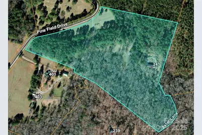 241 Pine Field Drive, Tryon, NC 28782 - Photo 39