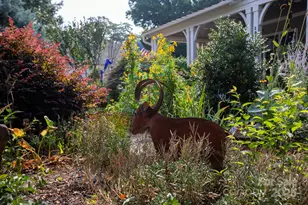 2852 Attaberry Dr, Charlotte, NC 28205 - Photo 45