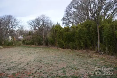 620 W Bell Street, Statesville, NC 28677 - Photo 29