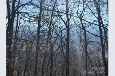 Lot 21 Brer Rabbit Trail #21, Waynesville, NC 28785 - Photo 5