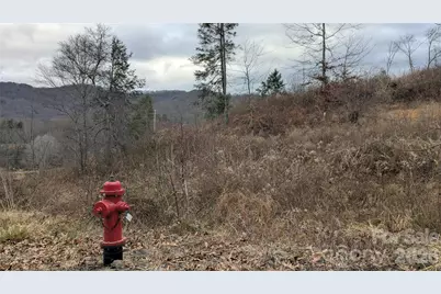 347 Richland Creek Road, Clyde, NC 28721 - Photo 17