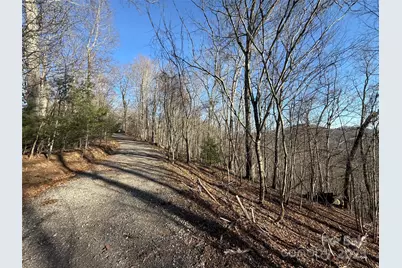 Lot 19 Brer Rabbit Trail #19, Waynesville, NC 28785 - Photo 21