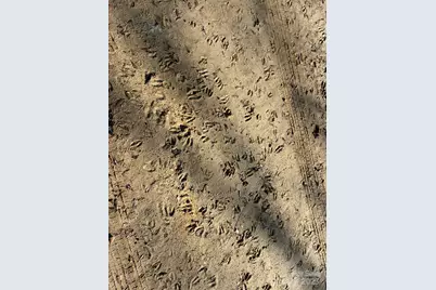 5482 Old Winnsboro Road, Great Falls, SC 29055 - Photo 5