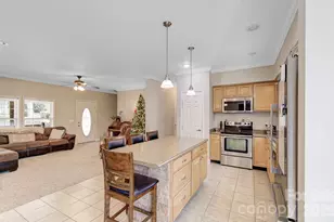 1496 Summit Springs Dr, Flat Rock, NC 28731 - Photo 3