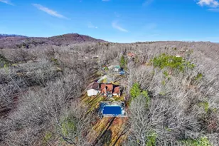 40 Country Bear Ln, Flat Rock, NC 28731 - Photo 41