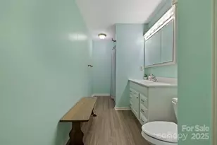 40 Country Bear Ln, Flat Rock, NC 28731 - Photo 33