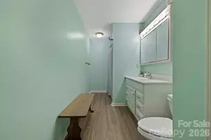 40 Country Bear Ln, Flat Rock, NC 28731 - Photo 33