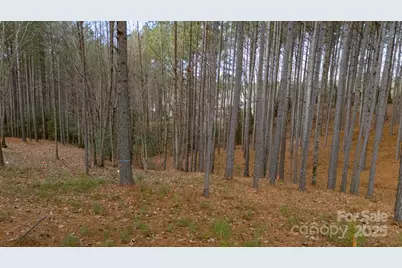 340 Gardner Point Drive, Stony Point, NC 28678 - Photo 5