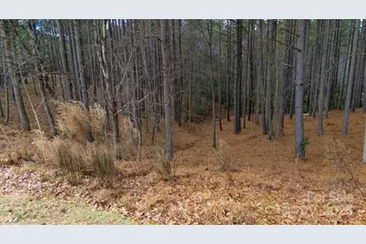 340 Gardner Point Drive, Stony Point, NC 28678 - Photo 7