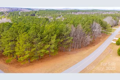 340 Gardner Point Drive, Stony Point, NC 28678 - Photo 9