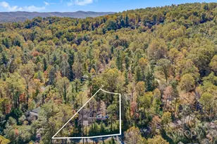 203 Davis Mountain Rd, Laurel Park, NC 28739 - Photo 37