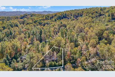 203 Davis Mountain Road, Laurel Park, NC 28739 - Photo 37