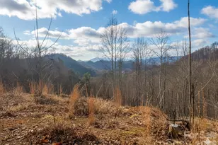 151 Thunderstruck Rdg, Burnsville, NC 28714 - Photo 1