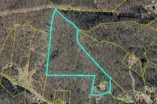 151 Thunderstruck Rdg, Burnsville, NC 28714 - Photo 3