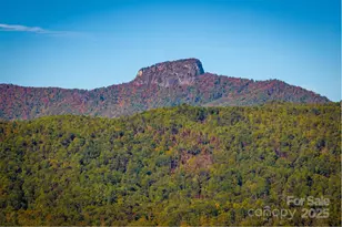 7376 Nc 181 Hwy, Morganton, NC 28655 - Photo 39