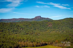 7376 Nc 181 Hwy, Morganton, NC 28655 - Photo 37