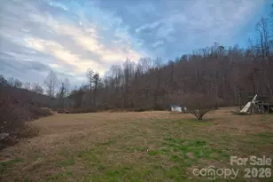 5712 Holbert Cove Rd, Saluda, NC 28773 - Photo 3