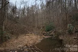 5712 Holbert Cove Rd, Saluda, NC 28773 - Photo 11