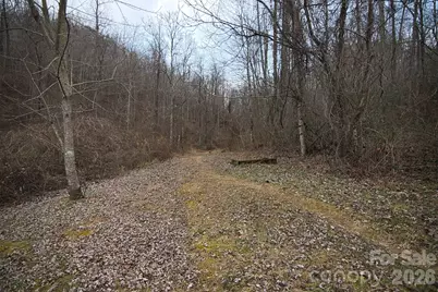 5712 Holbert Cove Road, Saluda, NC 28773 - Photo 9