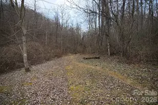 5712 Holbert Cove Rd, Saluda, NC 28773 - Photo 9