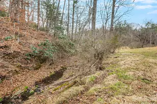 132 Snelson Cemetary Rd, Leicester, NC 28748 - Photo 33