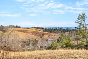 132 Snelson Cemetary Rd, Leicester, NC 28748 - Photo 27