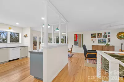 132 Snelson Cemetary Road, Leicester, NC 28748 - Photo 3