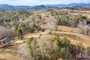 132 Snelson Cemetary Rd, Leicester, NC 28748 - Photo 31