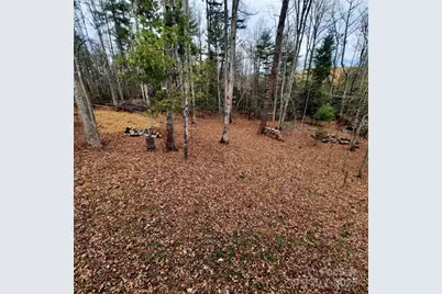 32 Bran Rick Lane, Arden, NC 28704 - Photo 3